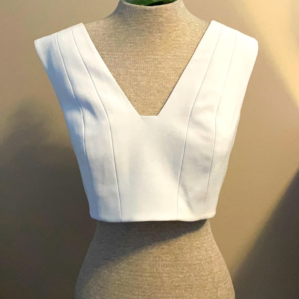 BCBG top